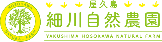FAX注文用紙・注文フォーム
